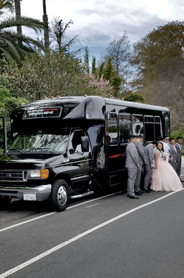 Wedding Limo